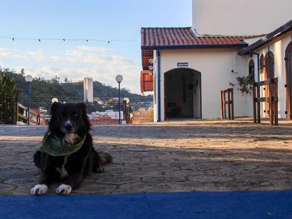 whatsapp image 2023-07-25 at 12.23.10 (1).jpeg