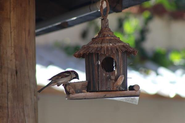 Foto 46 do Pousada Encantos de Socorro