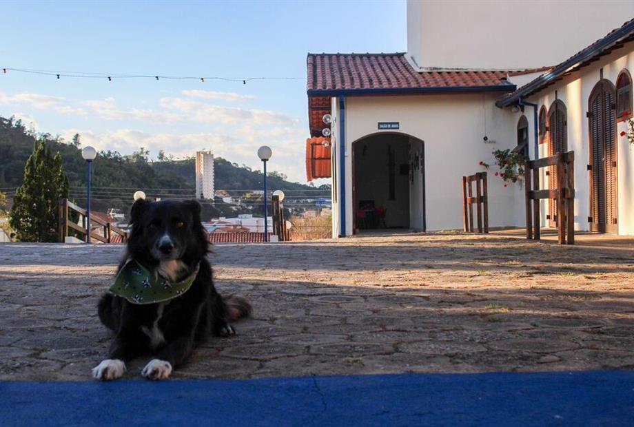 whatsapp image 2023-07-25 at 12.23.10 (1).jpeg