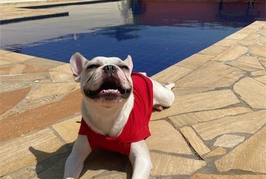 screenshot_20231102_173254_instagram (1).jpg