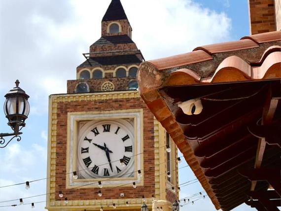 whatsapp image 2026-02-11 at 10.01.58 am (6).jpeg