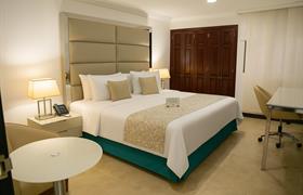 Habitación Superior de Torre Hotel Windsor