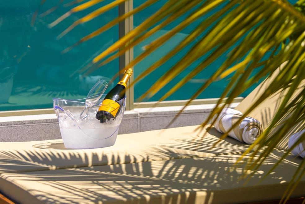 champagne_rooftop_1mb.jpg