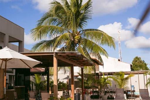 whatsapp image 2025-06-05 at 16.14.02.jpeg