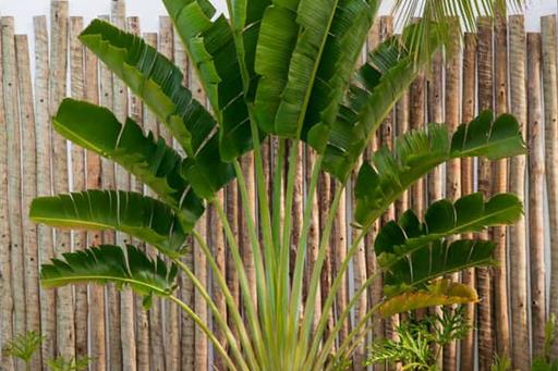 whatsapp image 2025-06-05 at 16.13.27.jpeg