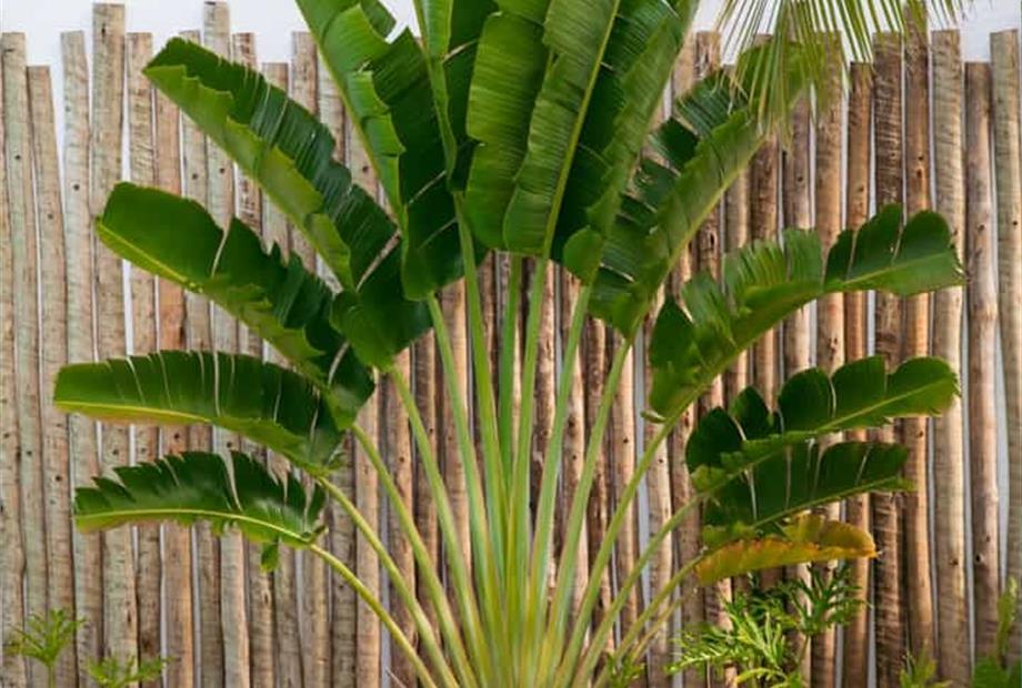 whatsapp image 2025-06-05 at 16.13.27.jpeg