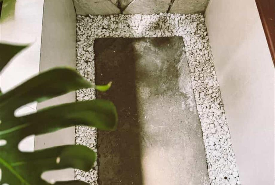 whatsapp image 2025-01-16 at 08.44.14 (4).jpeg