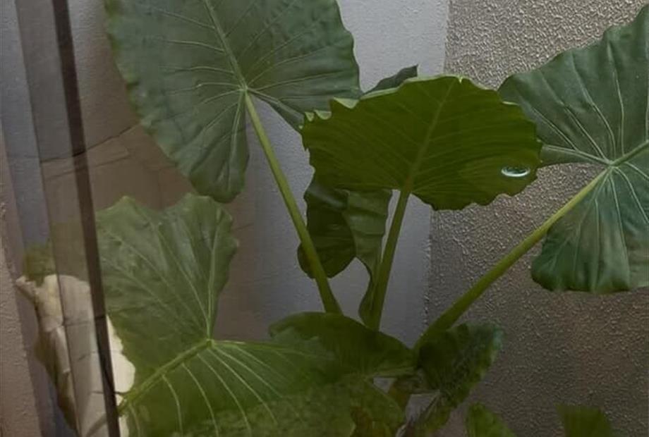 whatsapp image 2025-12-22 at 16.30.20 (1).jpeg