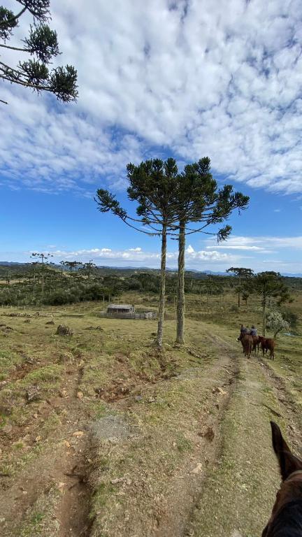 Vale Tancon Eco Village 4
