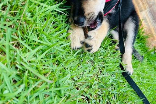 whatsapp image 2025-01-07 at 21.07.32.jpeg