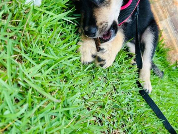 whatsapp image 2025-01-07 at 21.07.32.jpeg