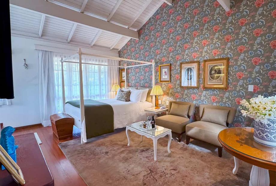 zermtt novo (38).jpg