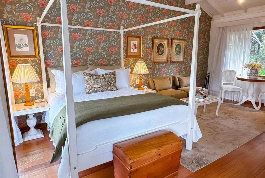 zermtt novo (15).jpg