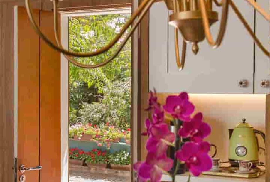 carrara premium plus (36).jpg