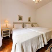 Jabuticabeira Standard