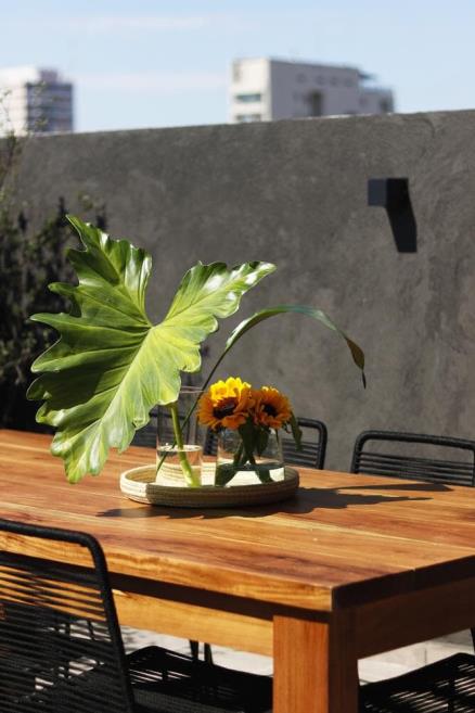 terraza 7.jpg