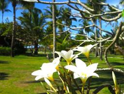 Fazenda São Francisco do Corumbau