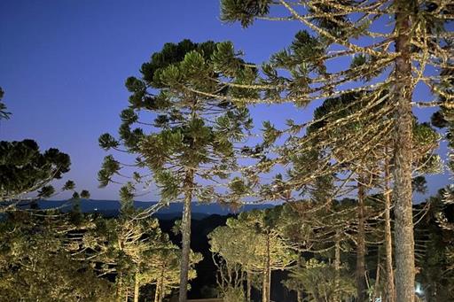 whatsapp image 2024-12-19 at 14.48.44 (26).jpeg