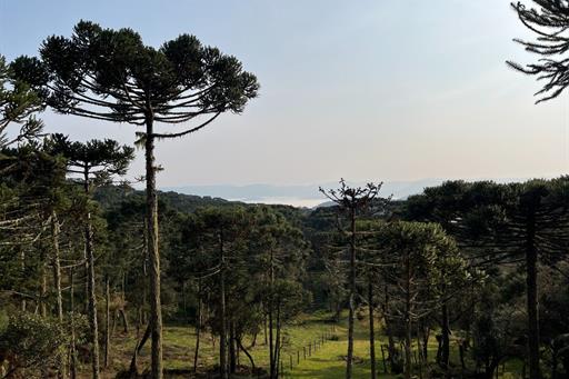 whatsapp image 2024-12-19 at 14.48.44 (11).jpeg