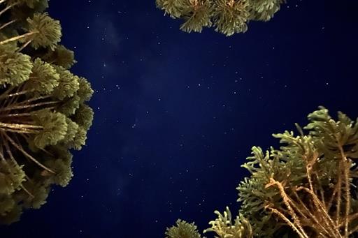 whatsapp image 2024-12-19 at 14.48.44 (25).jpeg