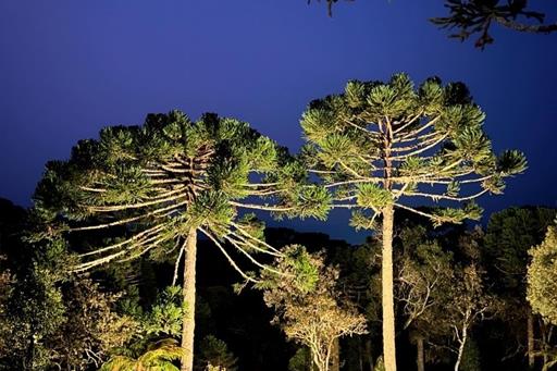 whatsapp image 2024-12-19 at 14.48.44 (27).jpeg