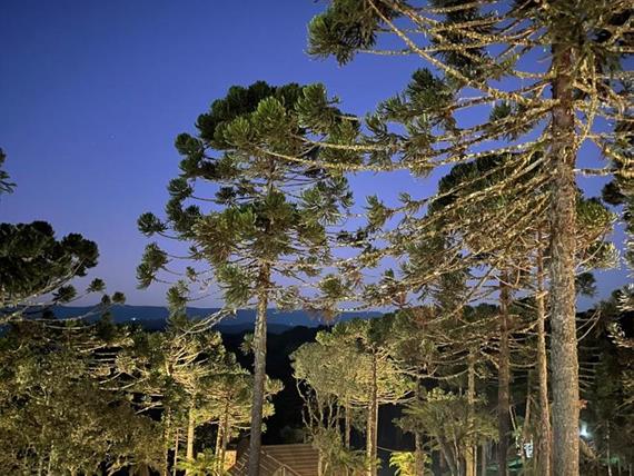 whatsapp image 2024-12-19 at 14.48.44 (26).jpeg