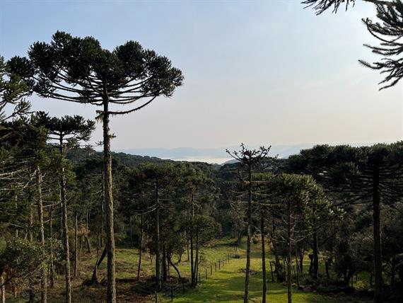 whatsapp image 2024-12-19 at 14.48.44 (11).jpeg