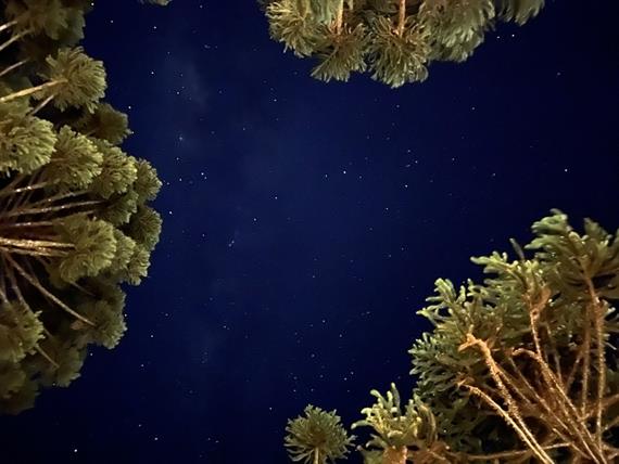 whatsapp image 2024-12-19 at 14.48.44 (25).jpeg