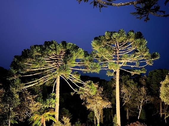 whatsapp image 2024-12-19 at 14.48.44 (27).jpeg