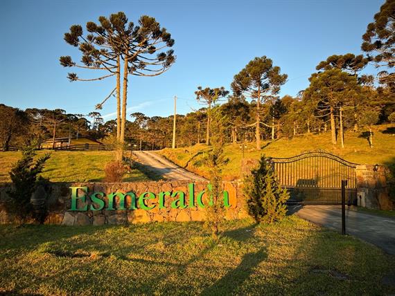 whatsapp image 2024-12-19 at 14.48.44 (19).jpeg