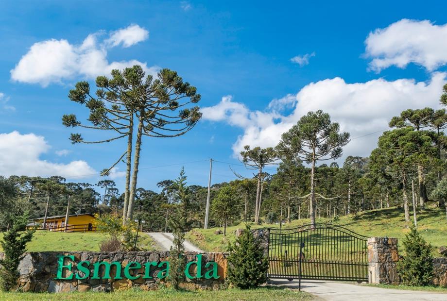 whatsapp image 2024-12-19 at 14.48.43.jpeg