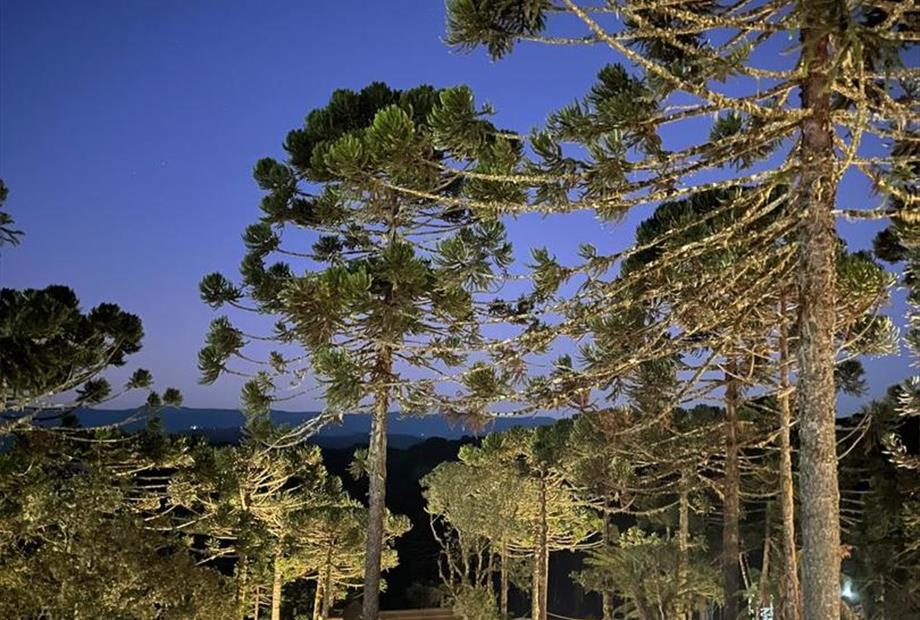 whatsapp image 2024-12-19 at 14.48.44 (26).jpeg