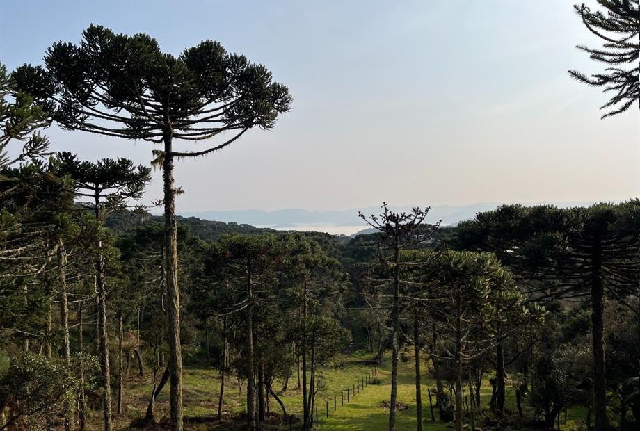 whatsapp image 2024-12-19 at 14.48.44 (11).jpeg