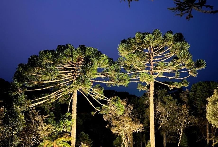 whatsapp image 2024-12-19 at 14.48.44 (27).jpeg