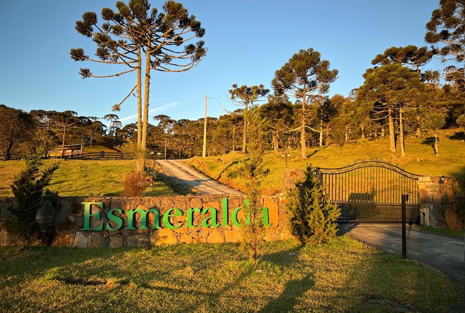 whatsapp image 2024-12-19 at 14.48.44 (19).jpeg