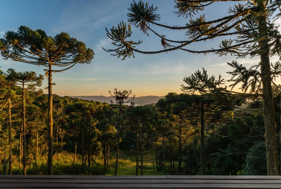 whatsapp image 2024-12-20 at 15.10.09 (9).jpeg