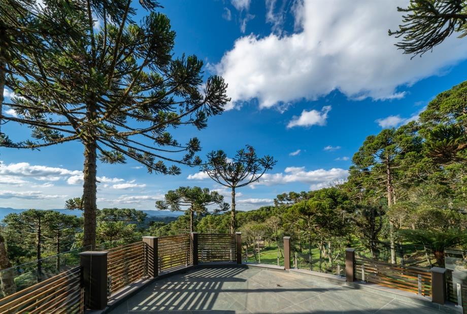 whatsapp image 2024-12-19 at 14.53.51 (7).jpeg