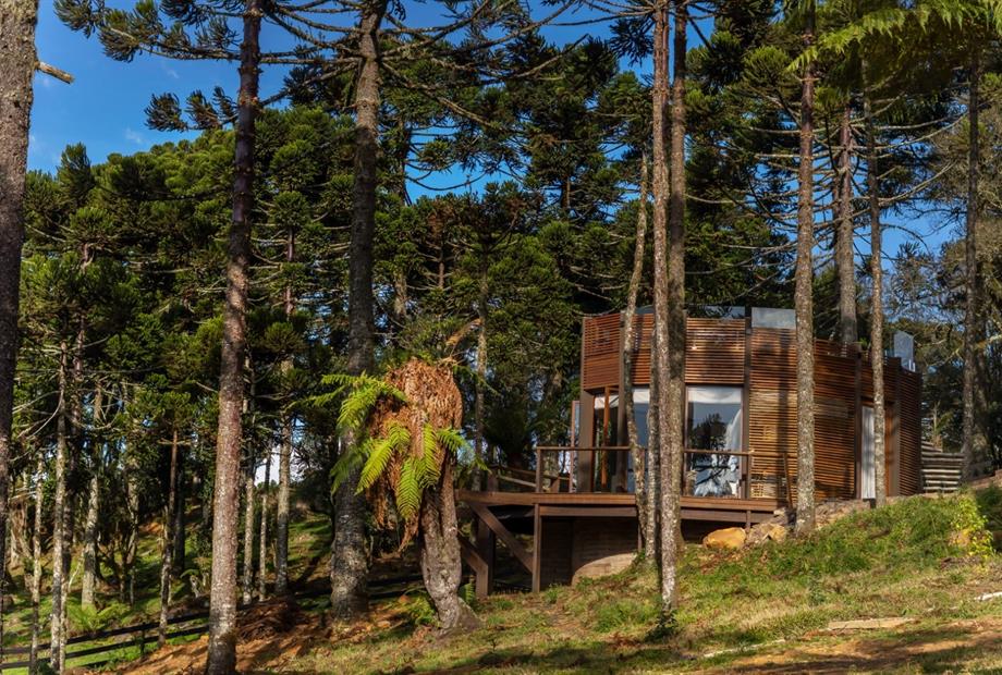 whatsapp image 2024-12-19 at 14.53.51.jpeg