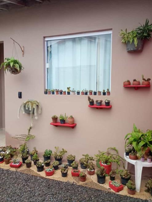 quadruploplantas.jpg