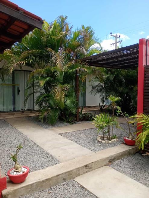 jardin3.jpg