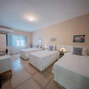 STANDARD TWIN TRIPLO