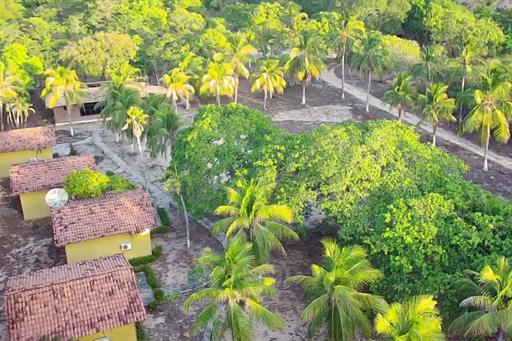 whatsapp image 2025-01-10 at 17.16.32 (2).jpeg