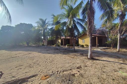 whatsapp image 2025-01-10 at 17.16.32 (6).jpeg