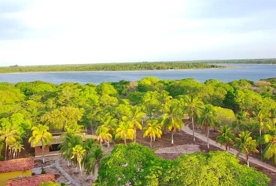 whatsapp image 2025-01-10 at 17.16.32 (4).jpeg