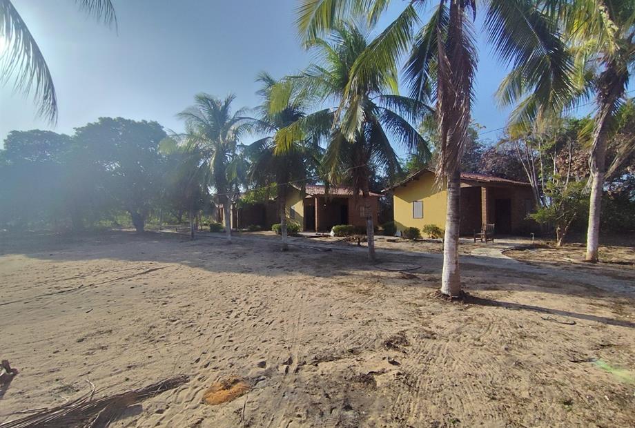 whatsapp image 2025-01-10 at 17.16.32 (6).jpeg