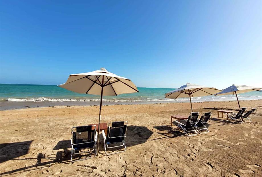 whatsapp image 2025-01-16 at 15.45.33_11zon.jpeg