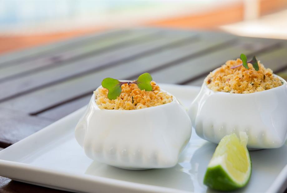 whatsapp image 2025-01-16 at 16.21.55.jpeg