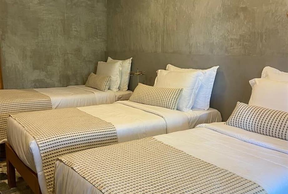 whatsapp image 2025-10-14 at 18.02.30.jpeg