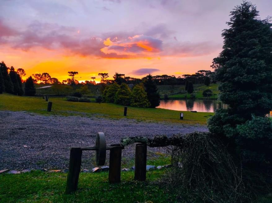 d5c88d62-b587-47d0-aea7-5835150e2942.jpg