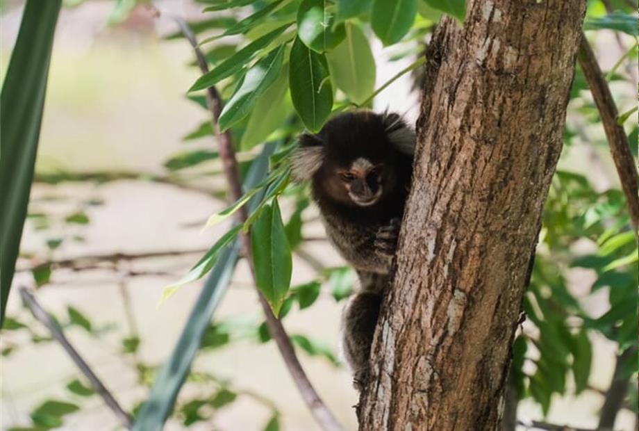 whatsapp image 2025-02-18 at 15.40.41.jpeg